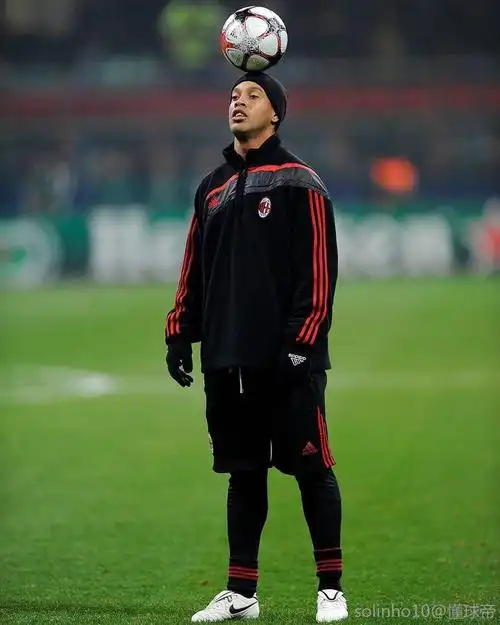 它们看似是 它们看似是